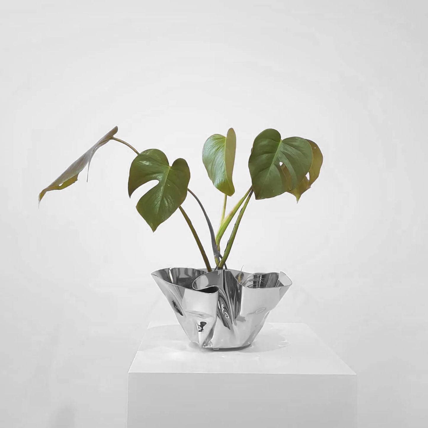 Cachepot / Fruteira ou Champanheira Fiori em Inox
